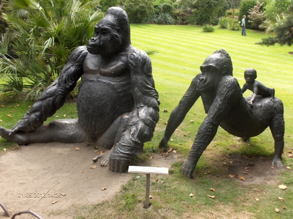 De heilge familie Gorilla s